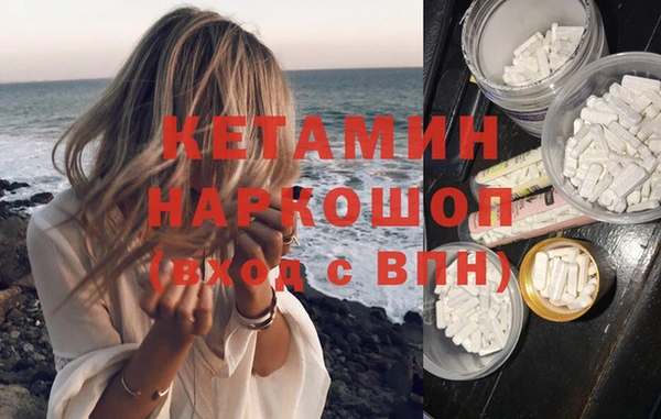 шишки Слюдянка