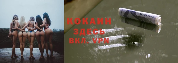 СК Белокуриха