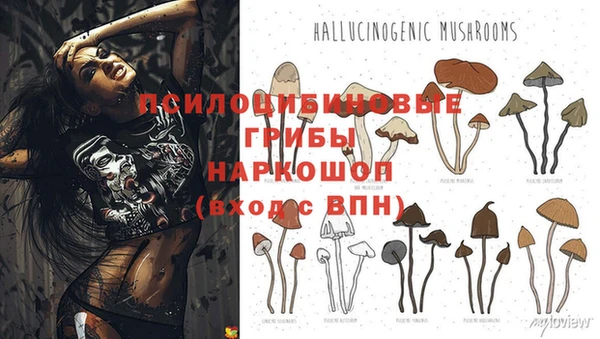 шишки Слюдянка