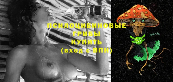 крисы Богданович