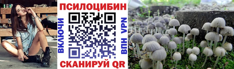 где купить наркотик Дигора Галлюциногенные грибы мухоморы